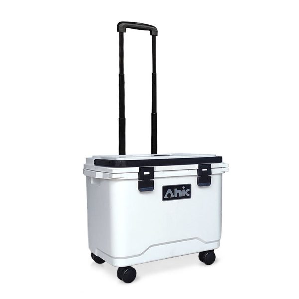 20L Portable Insulated Cooler Box Lightweight PE and PP Material Ideal for Food, Wine, Fishing, and Thermal Storage - Image 2