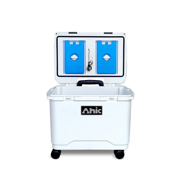 20L Portable Insulated Cooler Box Lightweight PE and PP Material Ideal for Food, Wine, Fishing, and Thermal Storage - Image 6