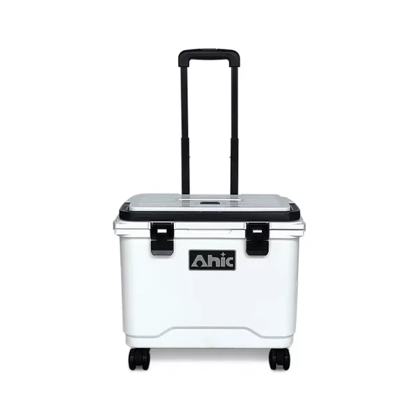 20L Portable Insulated Cooler Box Lightweight PE and PP Material Ideal for Food, Wine, Fishing, and Thermal Storage - Image 3